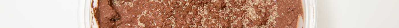 Springtails on Clay Substrate