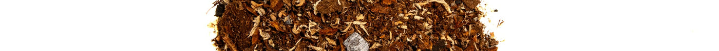 Common Abbreviations and Definitions in the Dart Frog and Tree Frog Hobby