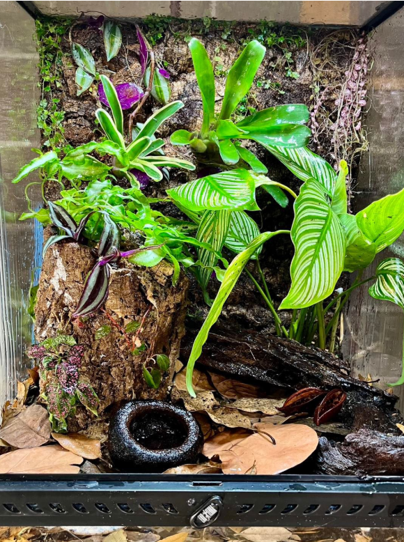 What does bioactive habitat mean and is it right for me?