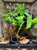 What does bioactive habitat mean and is it right for me?