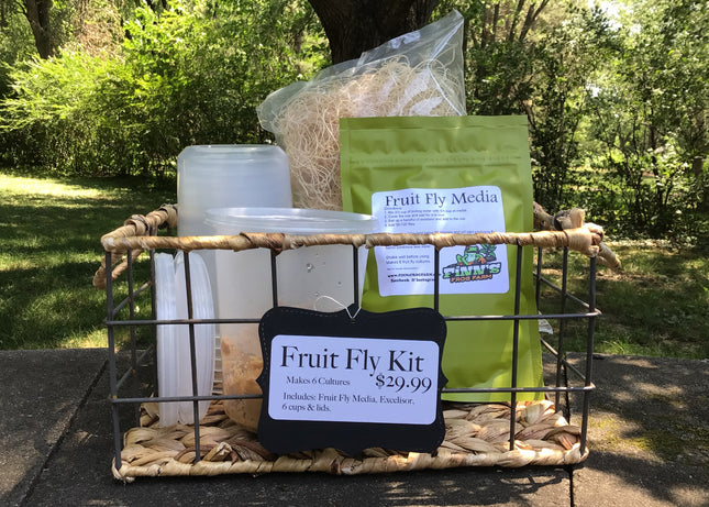 Fruit Fly Kit image 0