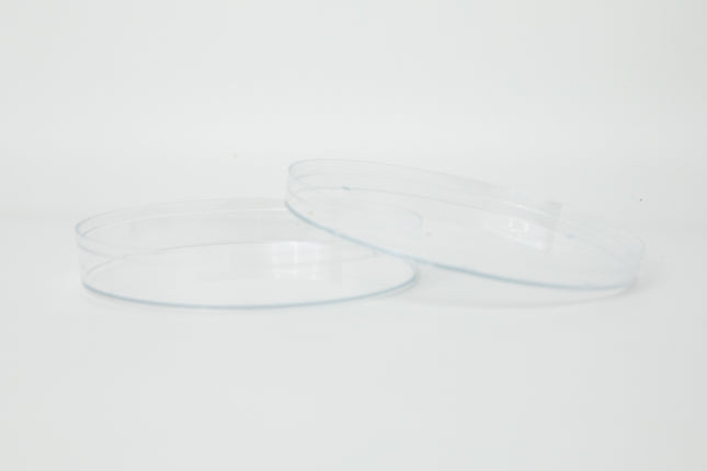 Petri Dishes 6 pack image 4