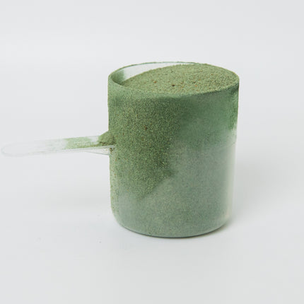 Fruit Fly Media 24 Cultures image 6