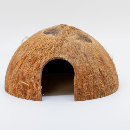 Coconut Hut