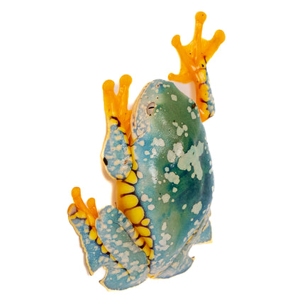 Cruziohyla craspedopus 'Amazon Fringe Leaf' Frog