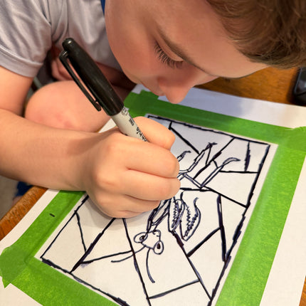 Class: Create Your Own Faux Stained Glass Reptile Art!