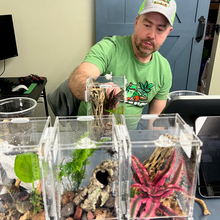 Class:  Build a Bioactive Jumping Spider Habitat
