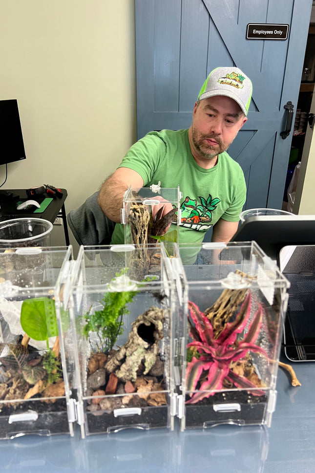 Class:  Build a Bioactive Jumping Spider Habitat