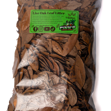 Live Oak Leaf Litter