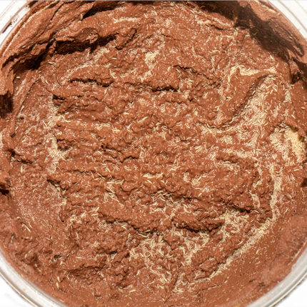 Springtails 8 oz Culture