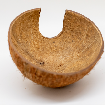 Coconut Hut