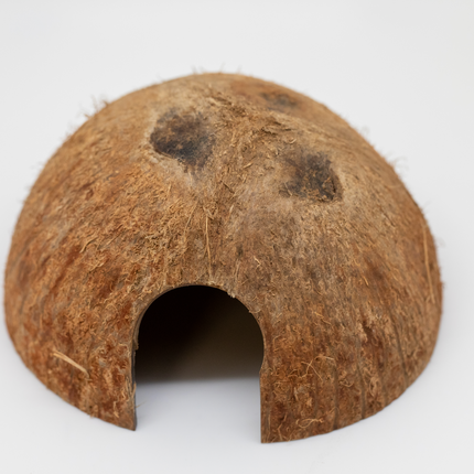 Coconut Hut