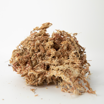 Sphagnum Moss