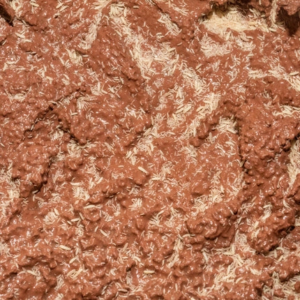 Springtails 8 oz Culture