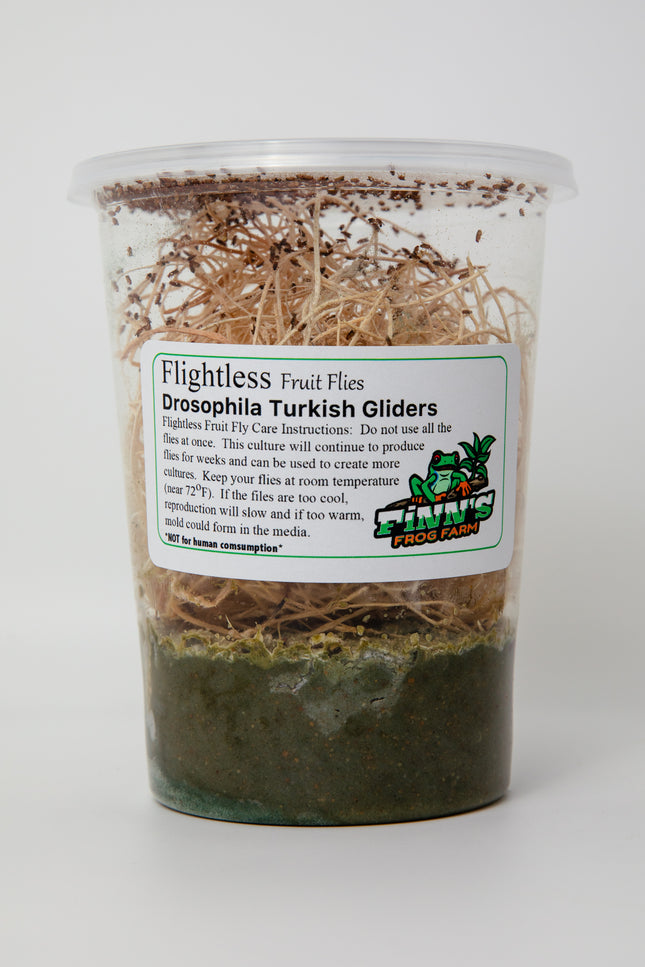 Turkish Gliders image 0