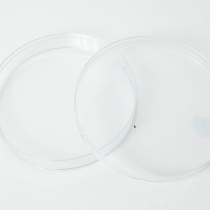 Petri Dishes 6 pack image 5